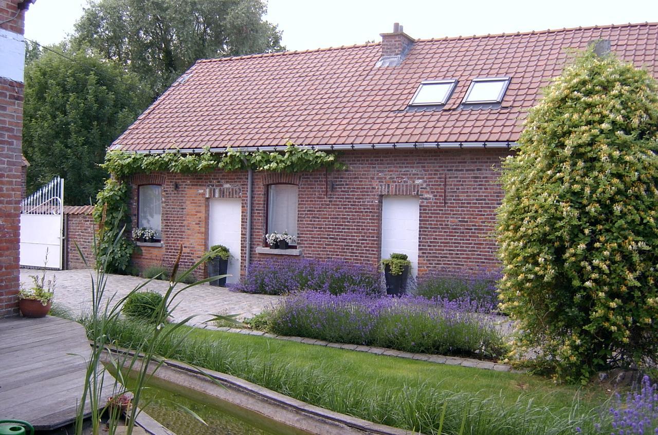 B&B De Pepelinck Denderwindeke Exterior foto